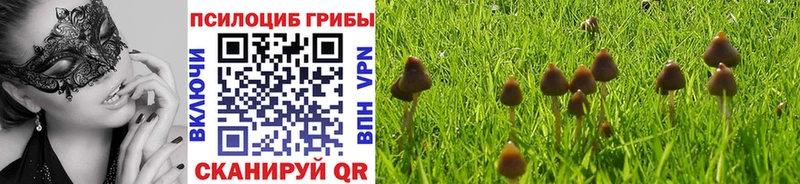 omg как зайти  Губаха  Галлюциногенные грибы Cubensis 