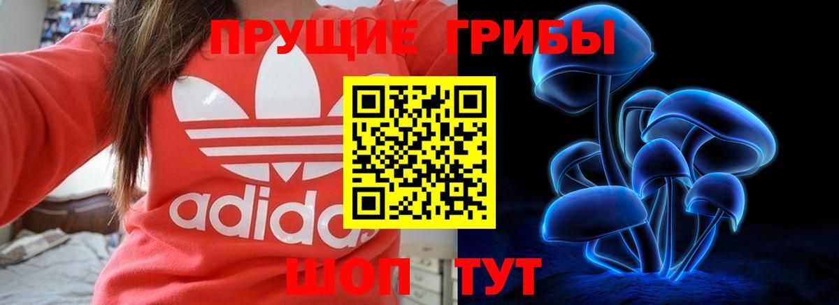 Галлюциногенные грибы прущие грибы  Галлюциногенные грибы ЛСД  Вход с VPN  Губаха 
